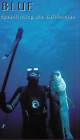 1551990011 Dvd Blue Spearfishing The