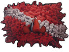 Aaanemone Aquatic Addiction Scuba Dive