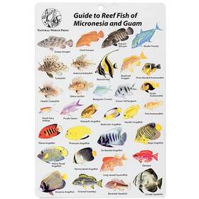 Bksfb176 Aqua Micronesia And Guam Fish I.d. Card