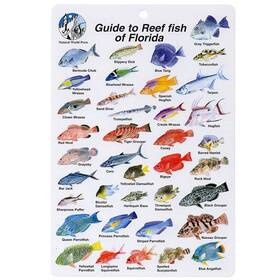 Bksfb202 Aqua Florida Fish I.d. Card