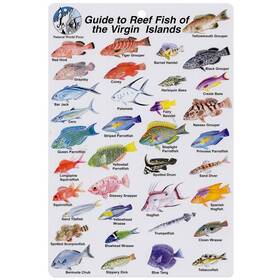 Bksfb207 Aqua Virgin Islands Fish I.d. Card