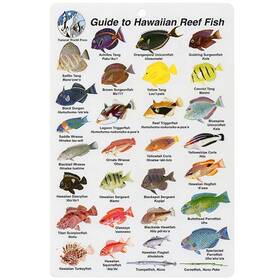 Bksfbk12 Aqua Hawaii Fish I.d. Card