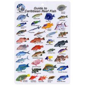 Bksfbk13 Aqua Caribbean Fish I.d. Card