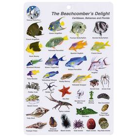 Bksfbk16 Aqua Beachcombers Delight Fish I.d. Card