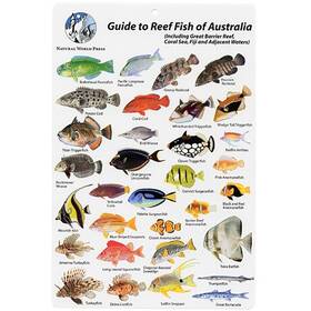 Bksfbk18 Aqua Australia And Fiji Fish I.d. Card