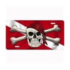 Au0119 Innovative Scuba Concepts Car License Plate Frame Skull Metal