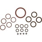 D604 Trident Brand New Standard 6641657079564