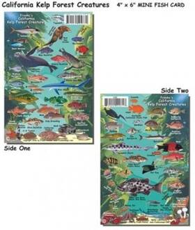 24101 Franko Maps Kelp Forest Creatures Fish Id For Scuba Divers And Snorkelers