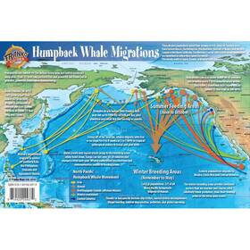 Frn43701 Frankos Maps Franko Pacific Humpback Whale Migration Card
