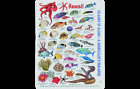 Lb1122 Innovative Mini Card Hawaii Combo Accessories 608038019416