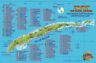 Lb1349 Franko Maps Roatan Fish Card Accessory 819420003597