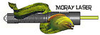 Moray Oceanco Int Scuba Green