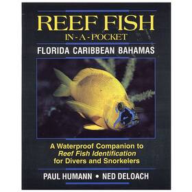 Bksr06 New World Publications Reef Fish In-a-pocket Florida Caribbean Bahamas