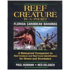 Bksr07 New World Publications Reef Creatures In-a-pocket Florida Caribbean Bahamas