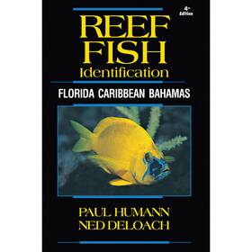 Bksr4th New World Publications Reef Fish Id - Florida Caribbean Bahamas 4th Edition By Paul Humann And Ned Del