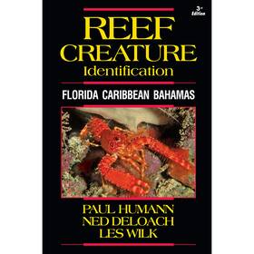 Bksrc50 New World Publications Reef Creature Id Florida Caribbean Bahamas 3rd Edition