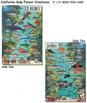 Kelp Forest Creatures Fish Id Scuba Divers And Snorkelers. Fixed Price $19.99.