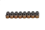 Seal Set, Valve Stem Reinz 12-53093-01 Toyota Ist (NCP6 ) 1.3 2004-2007. Fixed Price $101.32.
