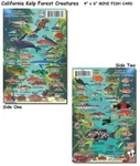 Franko Maps Kelp Forest Creatures Fish Id Scuba Divers And Snorkelers. Fixed Price $25.99.