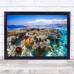 Mayotte The Reef Sea Ocean Lagoon Island Underwater Dive Diving Wall Art Print. Fixed Price $13.43.