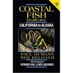 Coastal Fish Identification California To Alaska, 2ND Edition By P. Humann & Ned. Fixed Price $49.09.