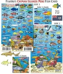 Franko Maps - Mini Cayman Islands Reef Fish Id. Fixed Price $11.00.