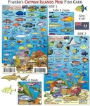 Franko Maps Mini Cayman Islands Reef Creatures Fish Id For Scuba Divers And.... Fixed Price $21.99.