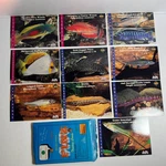 Lot Fish Trading Cards Finz Wild Native Scott Michael Collection 1995 Aqua-signz. Fixed Price $6.95.
