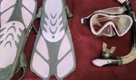 Seavenger Snorkeling Set With Mask, Fins, & Bag - S/m. Fixed Price $15.00.