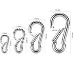 T316 Stainless Steel Carabiner Clip Snap Hook Spring Karabiner Carrabin Carbine. Fixed Price $99.99.