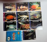 Lot Fish Trading Cards Finz Wild Native Scott Michael Collection 1995 Aqua-signz. Fixed Price $6.95.