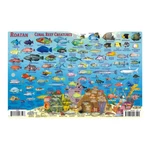 Franko Maps Fish Id Card & Dive - Roatan. Fixed Price $7.99.