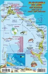 Eleuthera Island Bahamas Dive Reef Creatures Waterprooffish Card Franko Maps. Fixed Price $7.99.