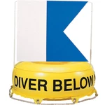 Jcs Inflatable Flag And Float With 16X20 Vinyl Alpha. Fixed Price $44.00.